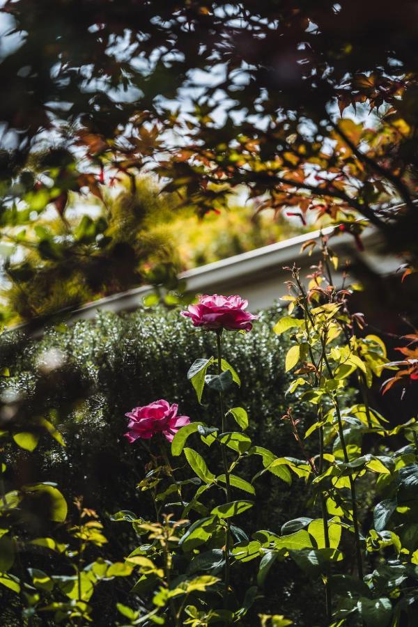 Daylesford Spa Accommodation Экстерьер фото
