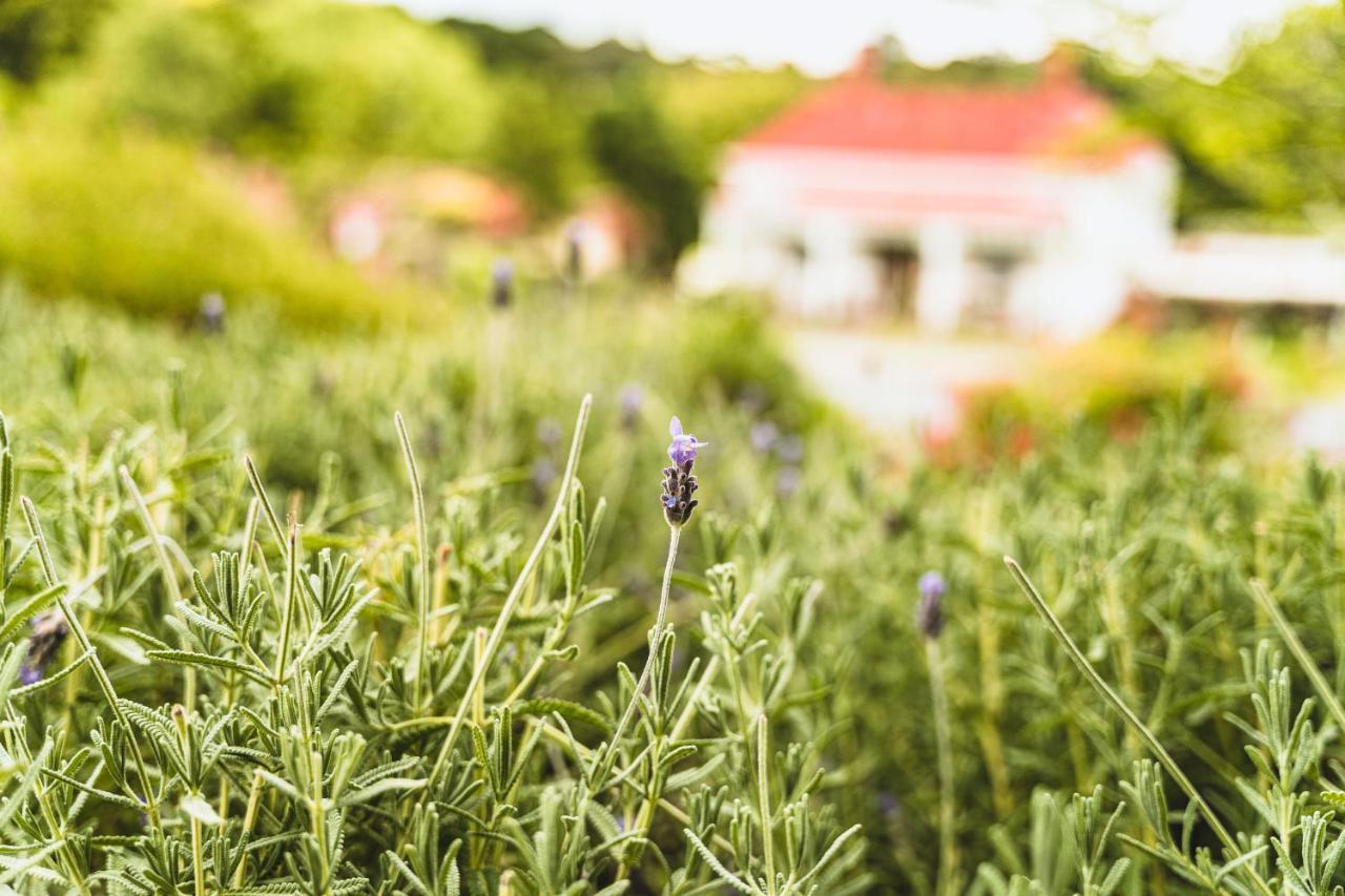 Daylesford Spa Accommodation Экстерьер фото